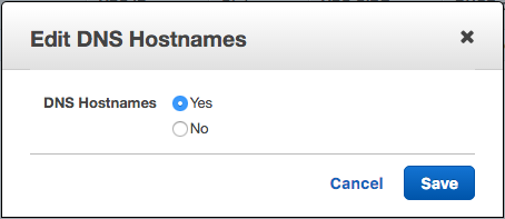 DNS HOSTNAME ENABLE