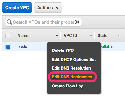 EDIT DNS HOSTNAME